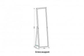 АЛЕКСАНДРИЯ-9.1 Зеркало напольное в Ноябрьске - noyabrsk.mebel24.online | фото 2
