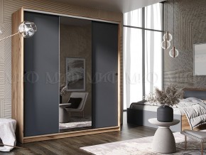 АЛЬЯНС Шкаф-купе 2,0 в Ноябрьске - noyabrsk.mebel24.online | фото