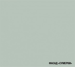 АСАЯ Кухонный гарнитур Экстра 2 (3000 мм) ПМ в Ноябрьске - noyabrsk.mebel24.online | фото 5