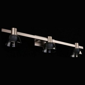 Бра Aployt Rezeda APL.788.01.03 в Ноябрьске - noyabrsk.mebel24.online | фото 11