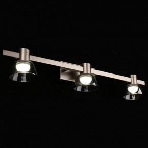 Бра Aployt Rezeda APL.788.01.03 в Ноябрьске - noyabrsk.mebel24.online | фото 5