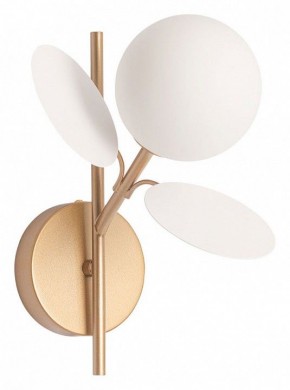 Бра Arte Lamp Peacock A1369AP-1SG в Ноябрьске - noyabrsk.mebel24.online | фото