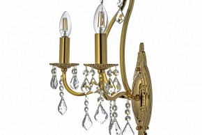 Бра Arti Lampadari Ercolano Ercolano E 2.1.2.602 G в Ноябрьске - noyabrsk.mebel24.online | фото 6