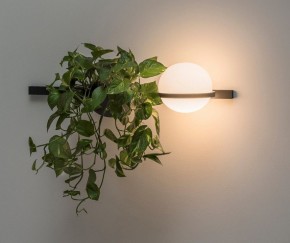 Бра Imperiumloft Palma 22,93726 в Ноябрьске - noyabrsk.mebel24.online | фото 3