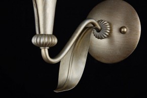 Бра Maytoni Lillian H311-01-G в Ноябрьске - noyabrsk.mebel24.online | фото 7