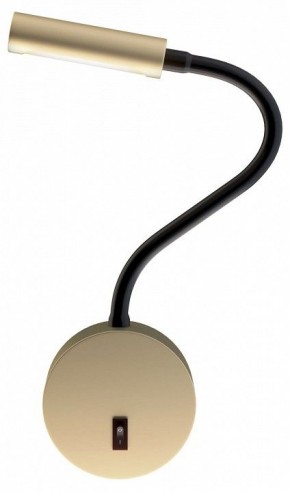 Бра Maytoni Stem C035WL-L3MG3K в Ноябрьске - noyabrsk.mebel24.online | фото
