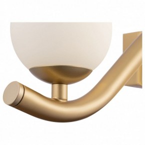 Бра Maytoni Uva MOD059WL-05G в Ноябрьске - noyabrsk.mebel24.online | фото 3