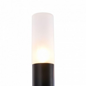 Бра Maytoni Vigo MOD620WL-04B в Ноябрьске - noyabrsk.mebel24.online | фото 8