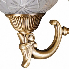 Бра MW-Light Афродита 2 317021902 в Ноябрьске - noyabrsk.mebel24.online | фото 5