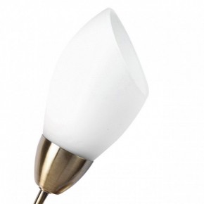 Бра MW-Light Нежность 7 356023001 в Ноябрьске - noyabrsk.mebel24.online | фото 2
