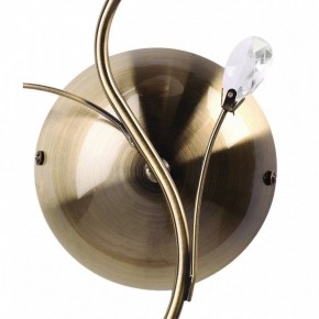 Бра MW-Light Нежность 7 356023001 в Ноябрьске - noyabrsk.mebel24.online | фото 3