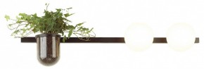 Бра Odeon Light Flower 4681/2W в Ноябрьске - noyabrsk.mebel24.online | фото 3