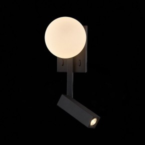 Бра с подсветкой ST-Luce Botelli SL1581.401.02 в Ноябрьске - noyabrsk.mebel24.online | фото