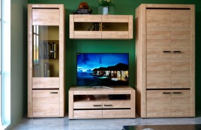 БЬЯНКА НКМ Гостинная (модульная) дуб баррик в Ноябрьске - noyabrsk.mebel24.online | фото 1