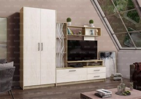 ДАРЬЯ Гостиная (Крафт серый/Крафт белый) в Ноябрьске - noyabrsk.mebel24.online | фото