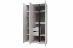 ДЕЛИ 3 Шкаф 3-х створчатый в Ноябрьске - noyabrsk.mebel24.online | фото 6