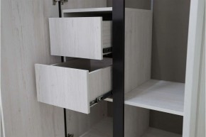 ДЕЛИ 3 Шкаф 3-х створчатый в Ноябрьске - noyabrsk.mebel24.online | фото 7