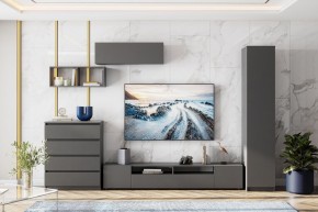 ДЕНВЕР Гостиная (Варианнт-1) Графит серый в Ноябрьске - noyabrsk.mebel24.online | фото