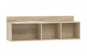 Детская Фанк Полка НМ 011.38-01 M1 в Ноябрьске - noyabrsk.mebel24.online | фото 2