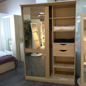 ДИАНА Д13 Шкаф-купе в Ноябрьске - noyabrsk.mebel24.online | фото 4