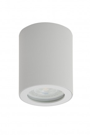 DK3007-WH Накладной светильник влагозащ., IP 44, 15 Вт, GU10, белый, алюминий в Ноябрьске - noyabrsk.mebel24.online | фото 1