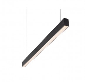 DK9123-BK Линейный светильник 30W 1250mm 3000K, черный в Ноябрьске - noyabrsk.mebel24.online | фото 1