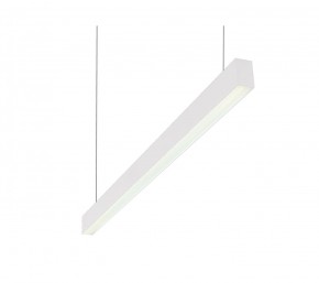DK9124-WH Линейный светильник 30W 1250mm 4000K, белый в Ноябрьске - noyabrsk.mebel24.online | фото 1