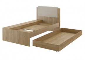 Дуглас (подростковая) М14 Кровать в Ноябрьске - noyabrsk.mebel24.online | фото