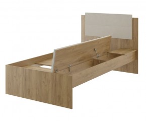Дуглас (подростковая) М14 Кровать в Ноябрьске - noyabrsk.mebel24.online | фото 4