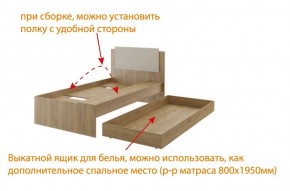 Дуглас (подростковая) М14 Кровать в Ноябрьске - noyabrsk.mebel24.online | фото 5