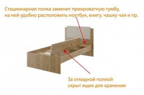 Дуглас (подростковая) М14 Кровать в Ноябрьске - noyabrsk.mebel24.online | фото 6