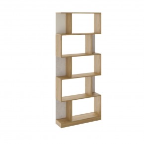 Дуглас подростковая (модульная) в Ноябрьске - noyabrsk.mebel24.online | фото 21