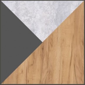 Дуглас подростковая (модульная) в Ноябрьске - noyabrsk.mebel24.online | фото 4
