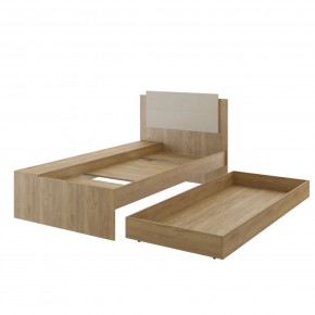 Дуглас подростковая (модульная) в Ноябрьске - noyabrsk.mebel24.online | фото 40