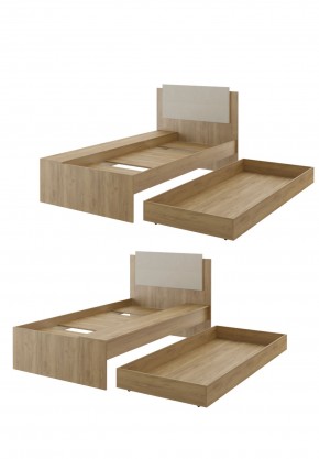 Дуглас подростковая (модульная) в Ноябрьске - noyabrsk.mebel24.online | фото 41