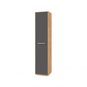 ФЛОРИДА Ф11 Шкаф-пенал (дуб золотой/графит) в Ноябрьске - noyabrsk.mebel24.online | фото