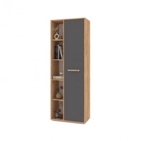 ФЛОРИДА Ф12 Шкаф-стеллаж (дуб золотой/графит) в Ноябрьске - noyabrsk.mebel24.online | фото