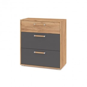 ФЛОРИДА Ф41 Комод (дуб золотой/графит) в Ноябрьске - noyabrsk.mebel24.online | фото