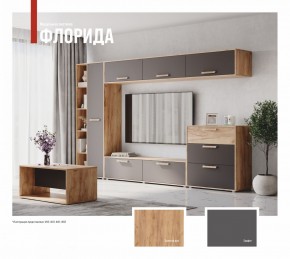 ФЛОРИДА Гостиная (модульная) дуб золотой/графит в Ноябрьске - noyabrsk.mebel24.online | фото
