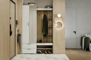 Гарнитур для прихожей Торонто в Ноябрьске - noyabrsk.mebel24.online | фото 5