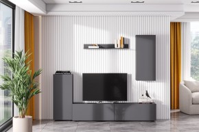 Гостиная МГС 10 (Графит) в Ноябрьске - noyabrsk.mebel24.online | фото 1