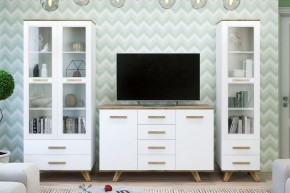 Гостиная Вега Скандинавия (комплект 1) в Ноябрьске - noyabrsk.mebel24.online | фото