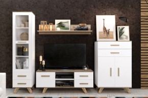 Гостиная Вега Скандинавия (комплект 2) в Ноябрьске - noyabrsk.mebel24.online | фото