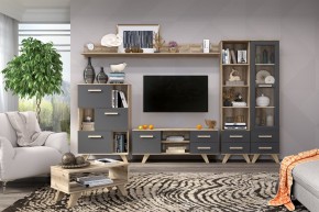 Гостиная Вега Скандинавия (комплект 6) в Ноябрьске - noyabrsk.mebel24.online | фото