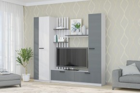 Гостиная Юджи (Анкор светлый/Графит) в Ноябрьске - noyabrsk.mebel24.online | фото