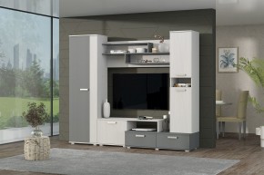 Гостиная Юна (Анкор светлый/Графит) в Ноябрьске - noyabrsk.mebel24.online | фото 3