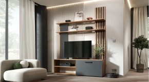 КАРОЛИНА Гостиная (дуб вотан/графит) в Ноябрьске - noyabrsk.mebel24.online | фото