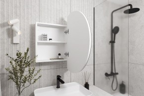 Кларити Шкаф зеркальный 16.312.04 в Ноябрьске - noyabrsk.mebel24.online | фото 2