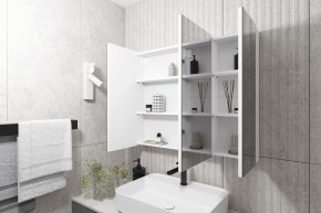 Кларити Шкаф зеркальный 16.312.05 в Ноябрьске - noyabrsk.mebel24.online | фото 2