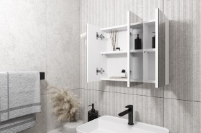 Кларити Шкаф зеркальный 16.312.08 в Ноябрьске - noyabrsk.mebel24.online | фото 2